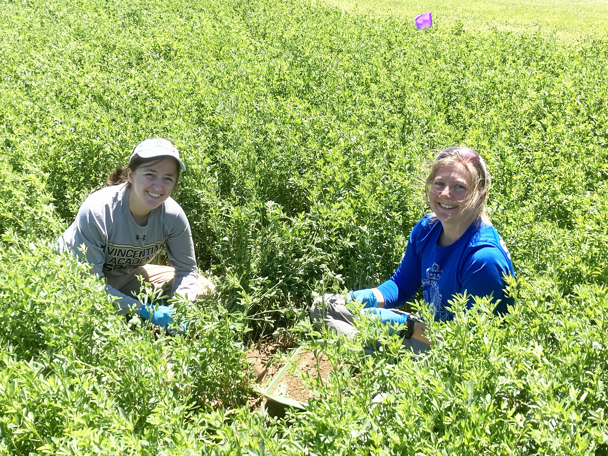 The Burghardt Lab | Examining plant-microbe-climate interactions in ...
